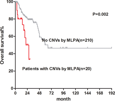 Overall survival of normal karyotype MDS patients with CNVs detected by MLPA (median OS: 27 months) and patients without CNVs (median OS: 65 months).