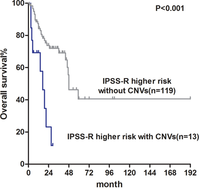 Overall survival of normal karyotype IPSS-R higher risk patients with CNVs detected by MLPA (median OS: 17 months) and patients without CNVs (median OS: 48 months).