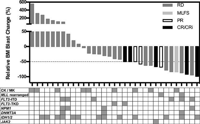 Waterfall plot of changes in relative bone marrow blast count in 33 patients.