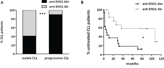 Anti-ENO1 Ab reactivity is associated with parameters of progressive disease and with a shorter TTFT in patients with CLL.
