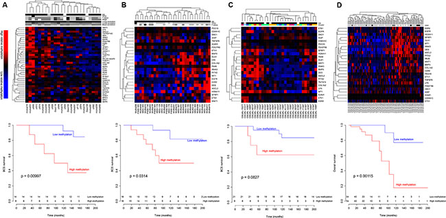 Hierarchical clustering of patients with Luminal A tumors using the SAM40 methylation signature.