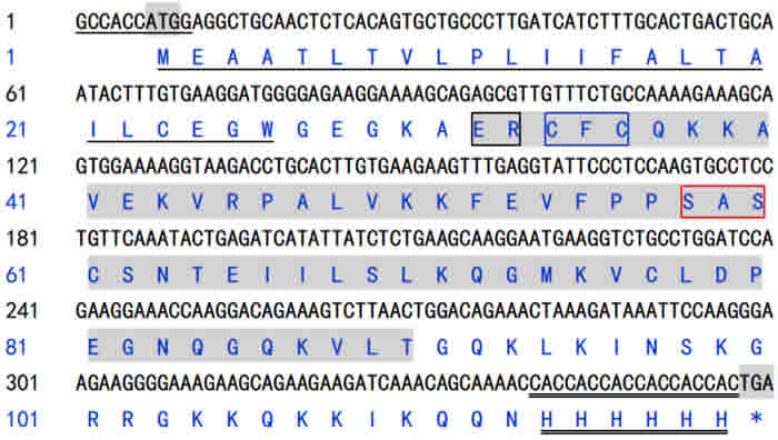 Nucleotide sequence and derived amino acid sequence of channel catfish IL-8.