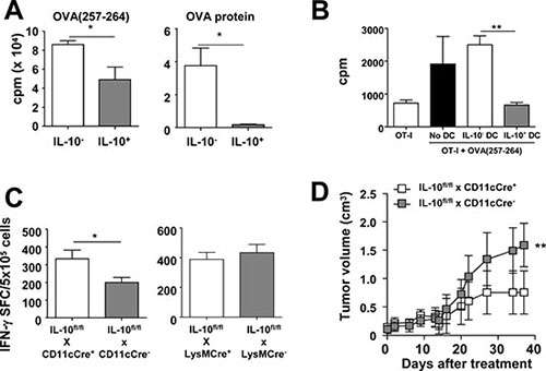 IL-10-producing DC have a poorer T-cell stimulatory capacity and limit the efficacy of anti-tumor therapeutic vaccination.