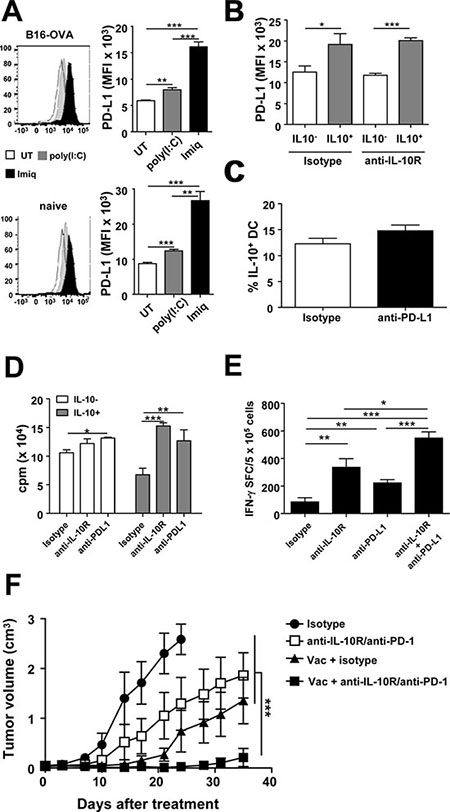 Blockade of vaccination-induced IL-10/PD-L1 in DC potentiates T-cell responses and increases antitumor therapeutic efficacy.