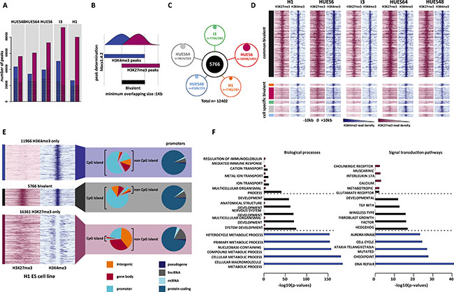 Genome-wide identification of high-confidence bivalent domains in human ES cells.