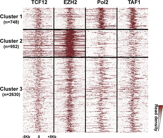 Three clusters of high-confidence bivalent promoters in human ES cells.