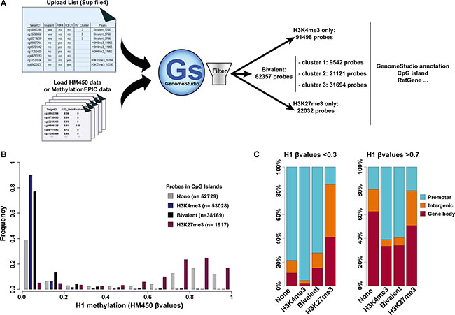 Integration of the ES cell chromatin signature parameters in DNA methylation analyses.