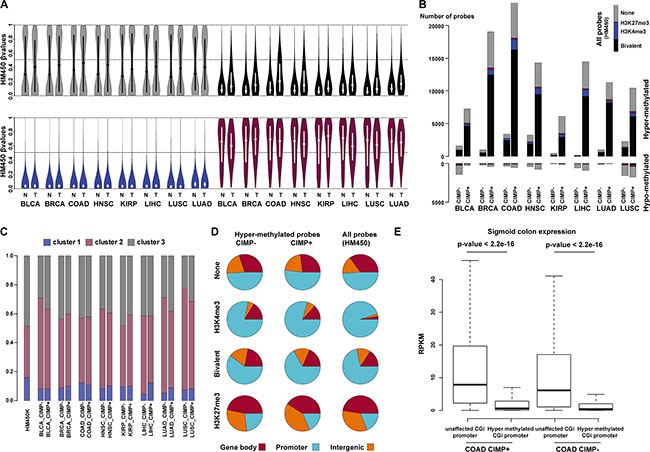 Bivalent CGIs from cluster 2 are the main target of aberrant hypermethylation in cancer.