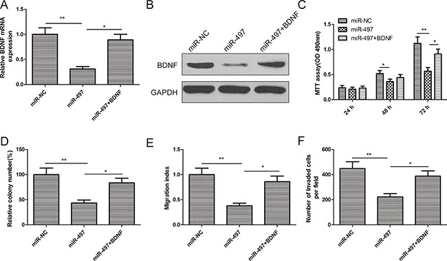 Restoration of BDNF reversed the tumor suppressive effect of miR-497 in thyroid cancer.