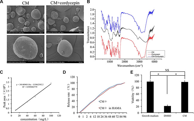 Preparation and characterization of chitosan microspheres.