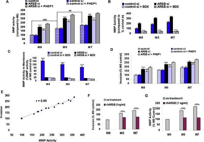 Matrix metalloproteinase activity and invasiveness of melanoma cells are increased by decline in ARSB and reduced by recombinant ARSB. (A)