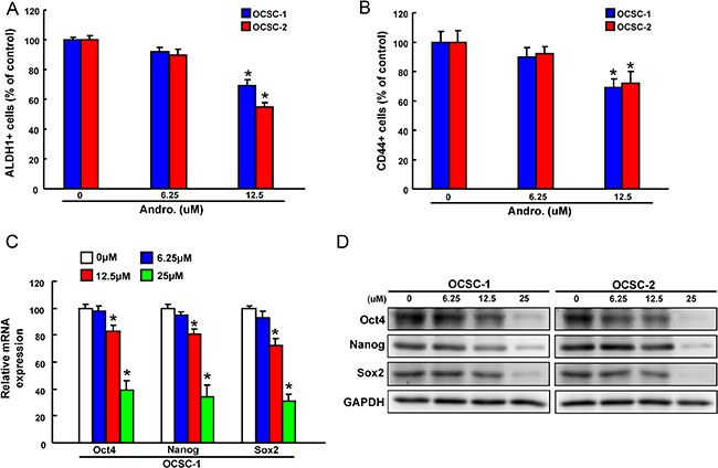 The effect of andrographolide on cancer stemness marker expression