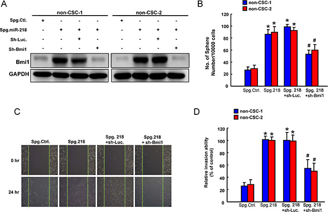 Involvement of Bmi1 in tumor suppressive function of miR-218