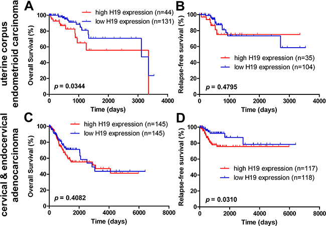 Kaplan-Meier estimate of overall survival and relapse-free survival of H19 expression in endometrioid carcinoma and cervical cancer patients.