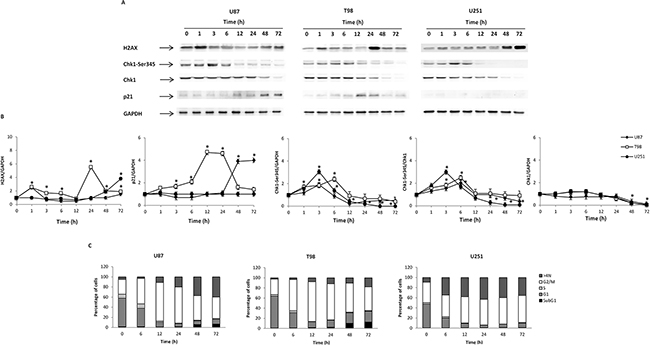 Axitinib induces DNA damage response and cell cycle arrest.
