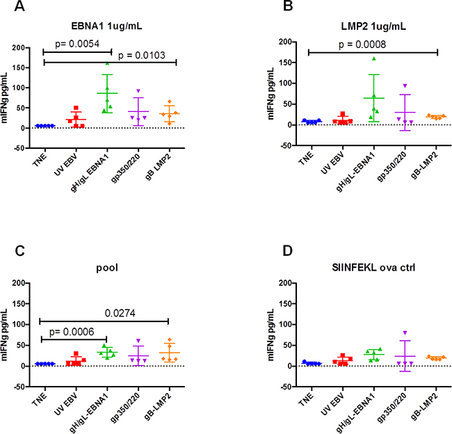 In vitro activation of T cells isolated from BALB/c mice immunized with gH/gL-EBNA1, gB-LMP2, or gp350/220 VLPs.
