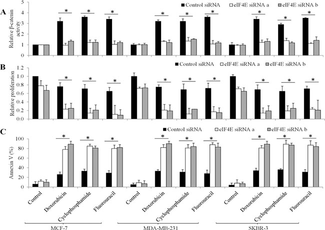 The effects of eIF4E knockdown in chemotherapeutic drugs-treated breast cancer cells.