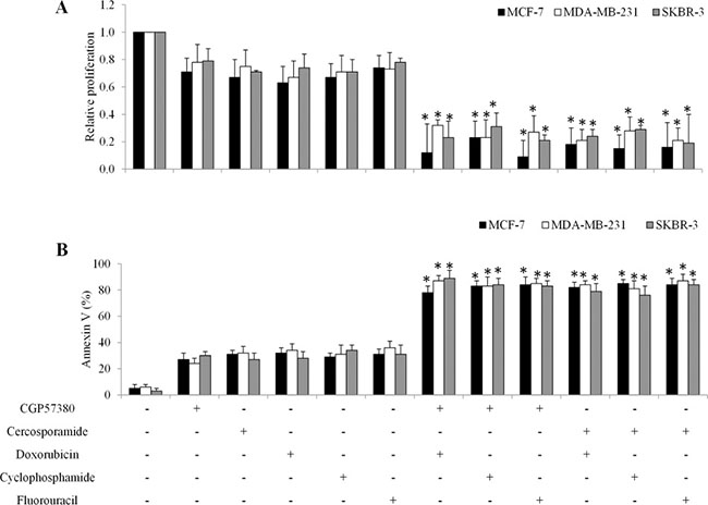 MNK kinase inhibitors sensitize breast cancer cells to doxorubicin in in vitro.