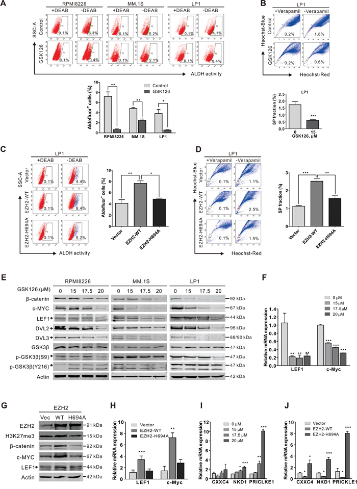 GSK126 eliminates stem-like myeloma cells through blocking of Wnt/&#x03B2;-catenin pathway.