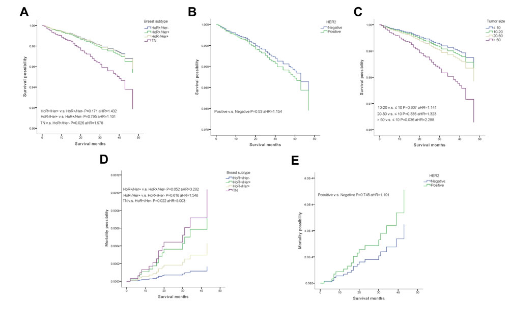 Weighted Kaplan-Meier curves of overall survival(OS) and breast-cancer-specific mortality(BCSM).