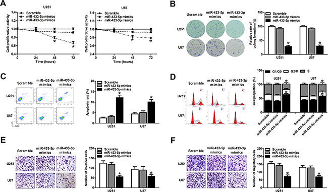 MiR-433-3p suppresses malignant behavior of glioma cells.