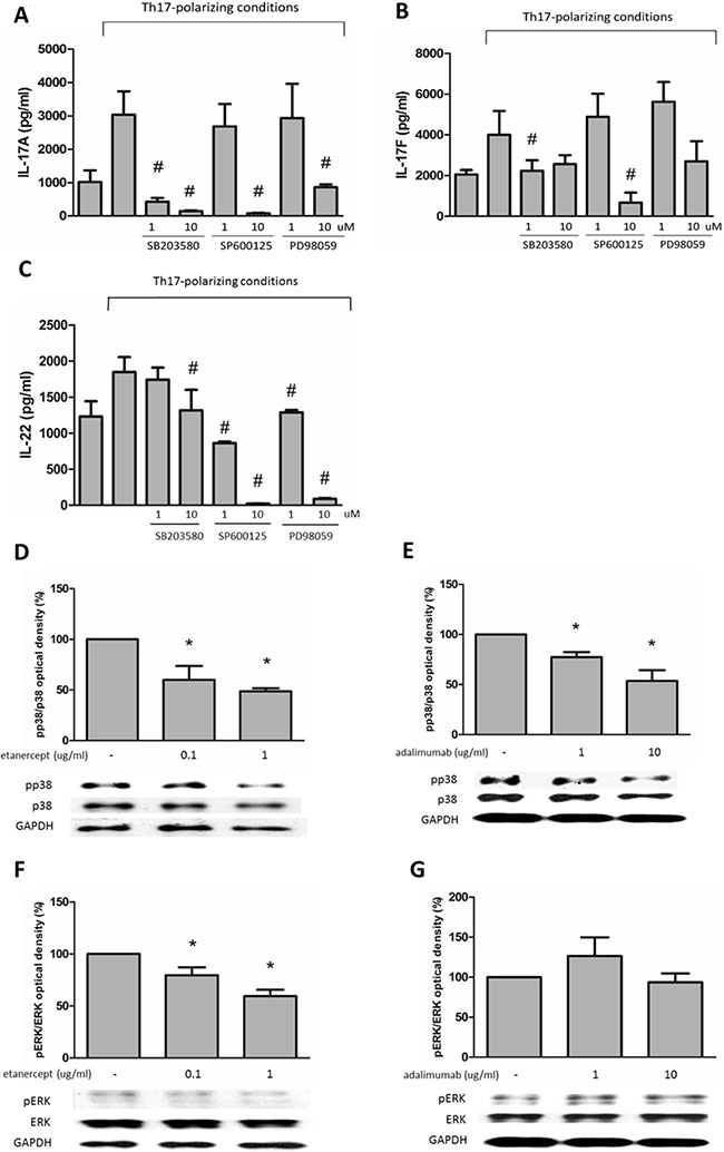 The suppressive effects of etanercept and adalimumab on IL-17A, IL-17F and IL-22 expression in human Th17-polarized cells through MAPK pathways.