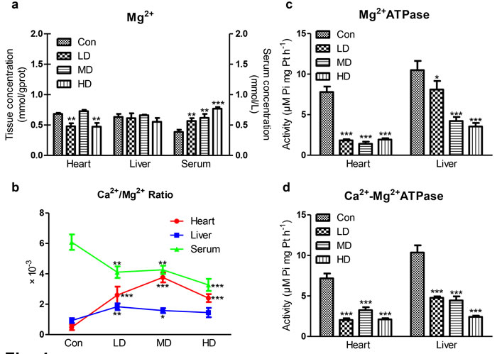 Effects of atrazine on the modulation of Mg