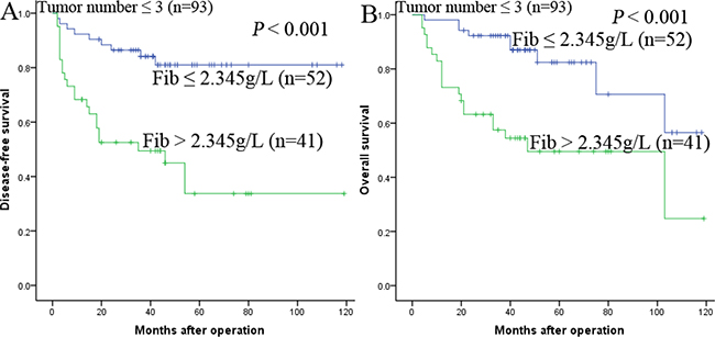 Kaplan-Meier survival curves of patients with tumor number &#x2264; 3 subgroup.