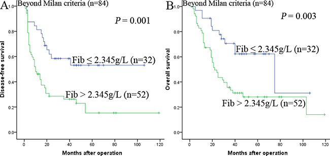 Kaplan-Meier survival curves of patients beyond Milan criteria.