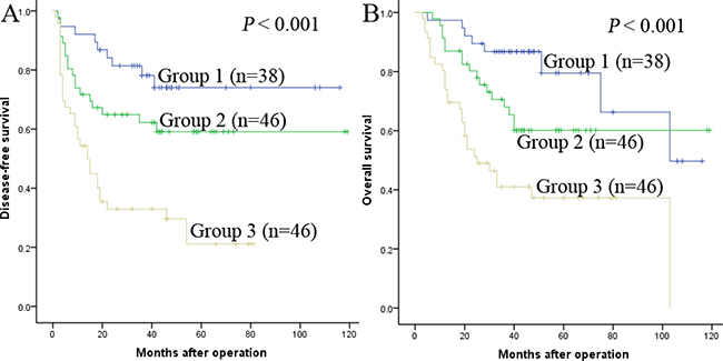 The combination of Fib and NLR was found to enhance prognostic accuracy for HCC.