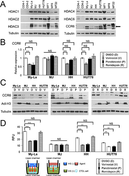 Vorinostat and panobinostat restore expression of CCR6, which inhibits migration of CTCL cells.