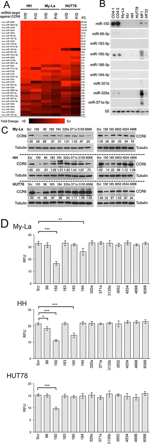 Upregulated miRNAs by HDACIs that potentially inhibit CCR6 in CTCL cells.