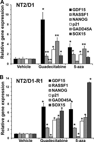 Guadecitabine and 5-aza remodel gene transcription in EC cells.