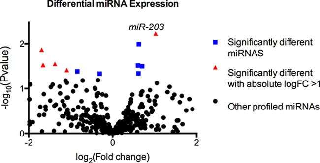 Next-generation sequencing of small-RNAs showed 16 miRNAs (squares and triangles) that were significantly differentially expressed, of which 10 miRNAs (triangles) exhibited an absolute fold change of 2 or above.