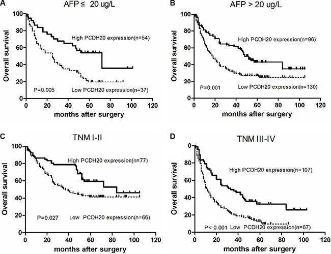 Kaplan-Meier curves for overall survival according to different AFP levels and TNM stages in hepatocellular carcinoma patients.