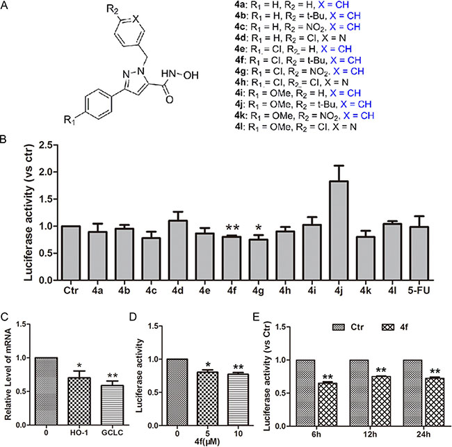 Effect of pyrazolyl hydroxamic acid derivatives (4a-4l) on Nrf2 activity.