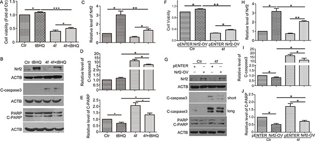 Upregulation of Nrf2 ameliorates 4f-induced growth inhibition and apoptosis.