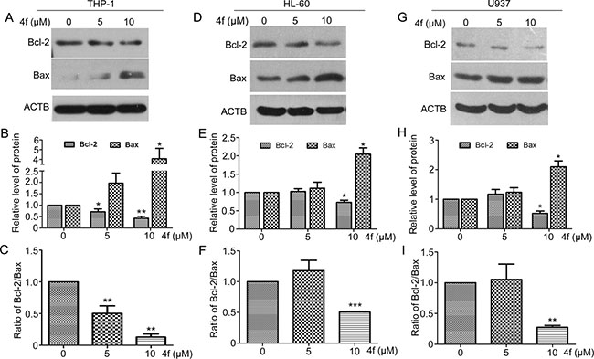 Bcl-2 and Bax are involved in the apoptotic signaling induced by 4f.