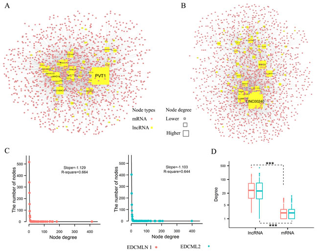 ESCC subtype-specific differential mRNA-lncRNA crosstalk networks based on ceRNA hypothesis and their properties.