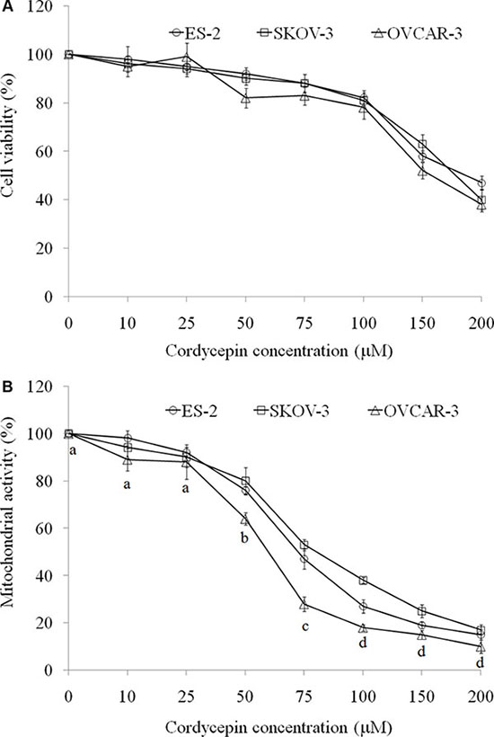 The effects of various concentration of cordycepin on (A) cell viability (crystal violet stain) and (B) mitochondrial activity (MTT assay) in the ES-2, SKOV-3, and OVCAR-3 human ovarian carcinoma cells after treatment for 24 h.