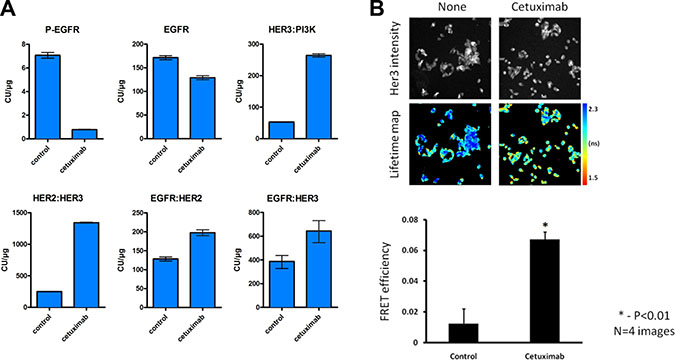 Cetuximab results in increased heterodimer formation and HER3:PI3K binding.