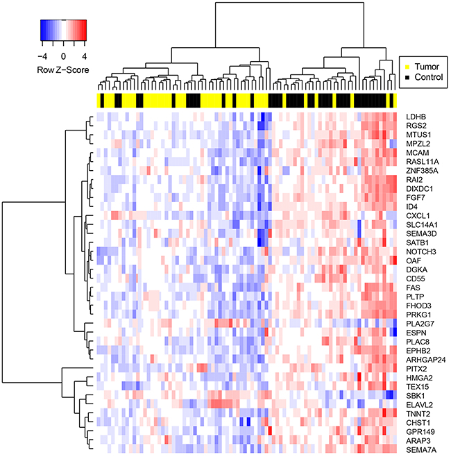 Hierarchical clustering of samples on highly significantly differentially expressed CRGs.