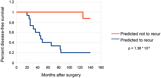 Survival curves for predictions on validation set.