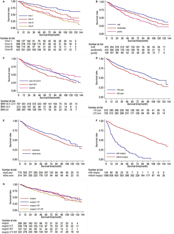 Ten-year survival of patients diagnosed with oral cancer in The First Affiliated Hospital of Fujian Medical University (Long-rank Mantel&#x2013;Cox test).