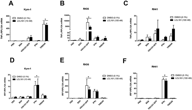 TNF&#x03B1; and IRF1 mRNA expression in RMS cell lines after treatment with innate immune stimuli.