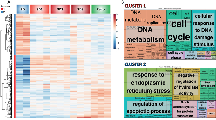 Clustering and functional analysis of genes.
