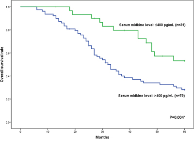 Overall survival rate of 110 patients with NSCLC who underwent surgery.