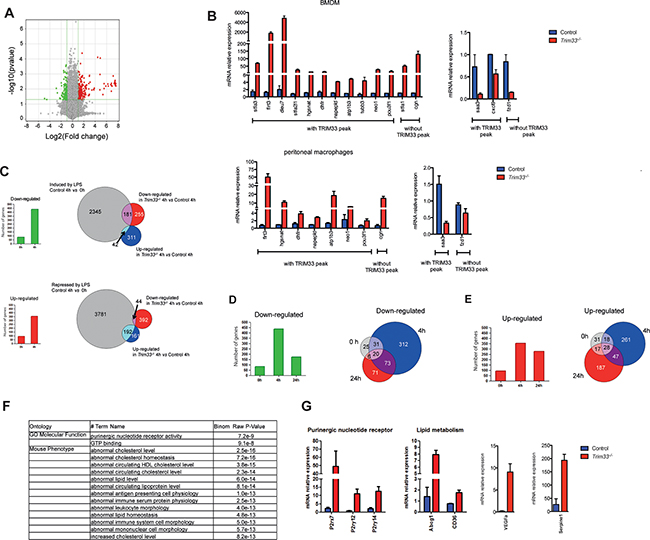 TRIM33 regulates gene expression of a subset of genes in BMDM.