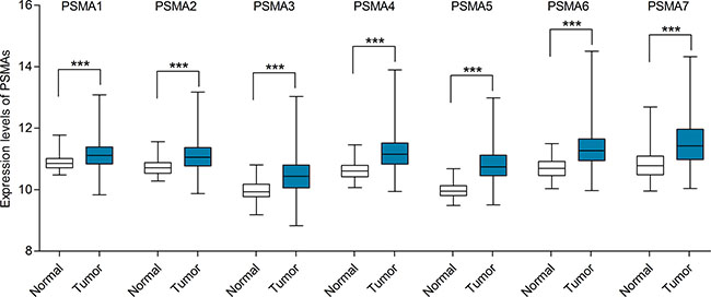 mRNA expression levels of PSMAs in breast cancer (TCGA mRNA HiSeq expression data).