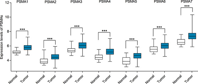 mRNA expression levels of PSMAs in gastric cancer (TCGA mRNA HiSeq expression data).